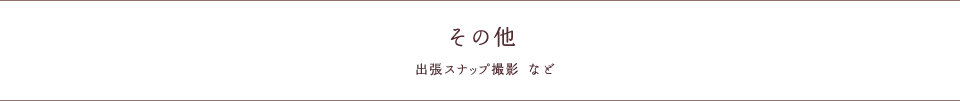 その他（出張スナップ撮影 など）